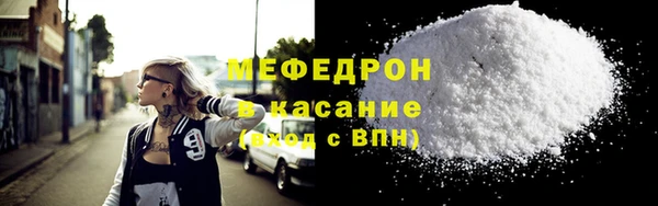 индика Богородицк